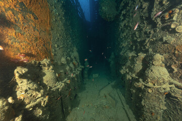 relitto di petroliera vicino ad Arenzano  nel mar ligure