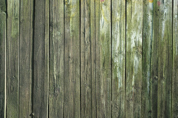 Fototapeta na wymiar Wooden wall with a touch of green moss.