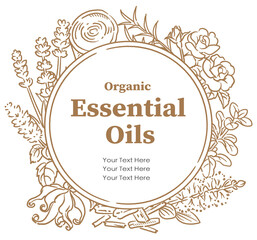 アロマオイルに使われるハーブなどを使ったデザイン。 ベクター画像