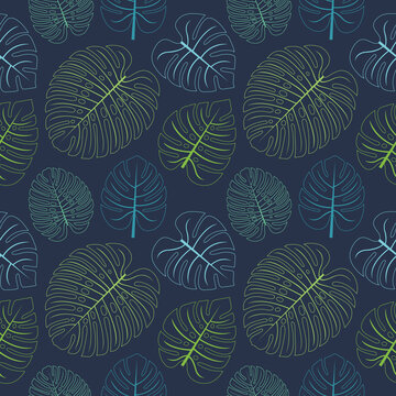Monstera leaf outline background seamless repeat pattern. Great for nature themed backgrounds, summer exotic wallpaper, packaging, fabric, and giftwrap projects. Surface pattern design.
