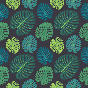Tropical colorful monstera leaves on repeat pattern. Great for summer exotic wallpaper, backgrounds, packaging, fabric, and giftwrap projects. Surface pattern design.