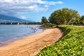 Morning walk on the beach on the island of Maui
