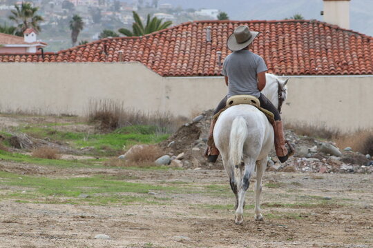 Horse And Rider Ensenada,Baja California,Mexico