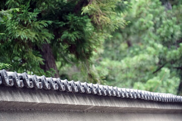 Japanese roof and trees