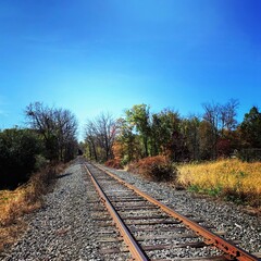 Fototapeta premium railroad tracks in the countryside