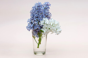 A bouquet of lilacs on a light background. Photo in pastel colors. There is white and blue lilac in the vase. Selective focus. The concept of a greeting card.