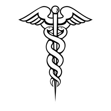 Medical Snake Vector Bold Outline Isolated on White Background - Caduceus Vector Eps
