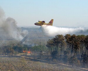 Fototapeta premium Canadair sur un incendie en Provence