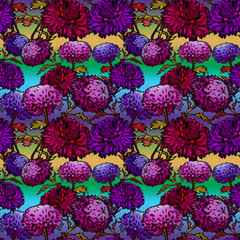 seamless pattern chrysanthemum purple  flowers burgundy