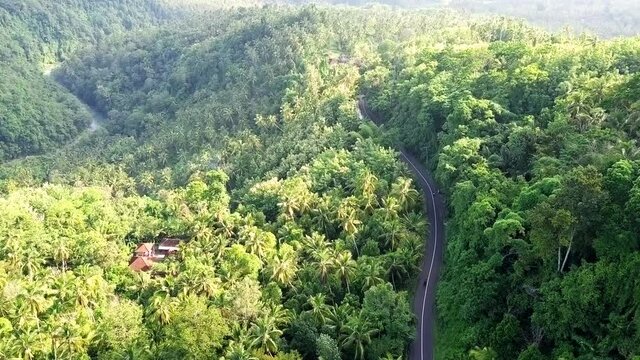 Sequence of drone shots of one lane road running through dense jungle in rural area of Bali