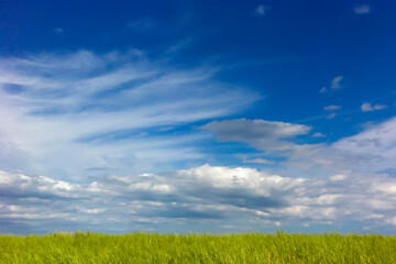 green field and blue sky with clouds. Grass meets blue sky with white clouds