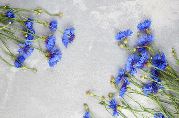 Blue cornflowers frame top view. Floral greeting card background.