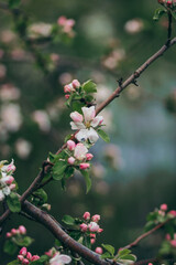 A small bird perched on a tree branch