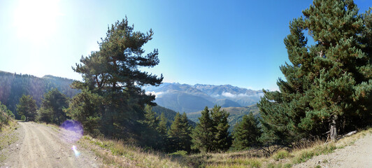 Fototapete bei efototapeten.de bestellen   