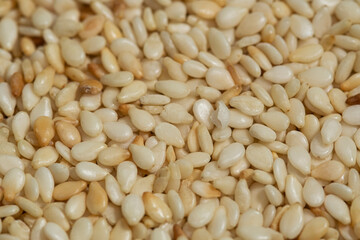 Browned sesame seeds closeup