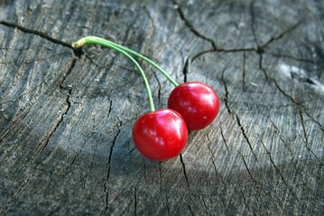 Two yummy ripe red cherries at the old stump