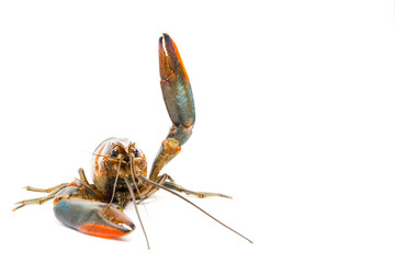 A picture of freshwater or 