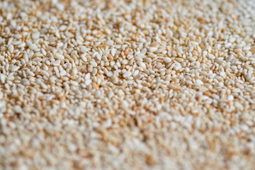 Browned sesame seeds closeup