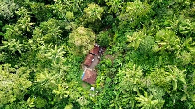Zooming out drone shot of secluded houses surrounded by dense rainforest with palm trees