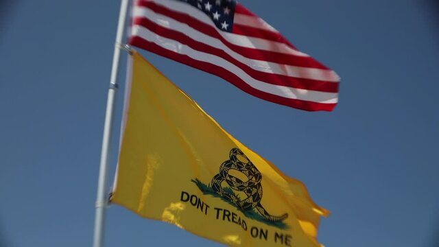 American and Gadsden flags in the wind.