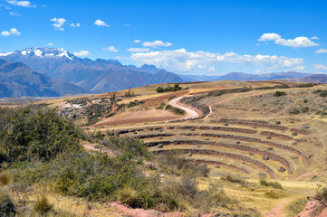 Fototapeta na wymiar Terraced Inca Farms in Peru