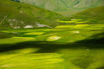 The beginning of flowering around Castelluccio di Norcia (June 2020): fields in lavish color, with red poppies, yellow rapeseed and other flowers.