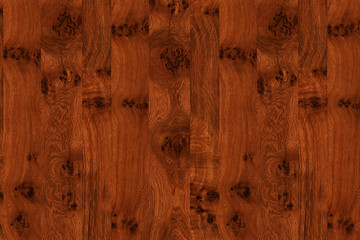 brown oak tree wood wallpaper structure texture background