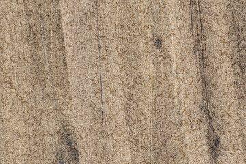 pale wood surface texture background wallpaper