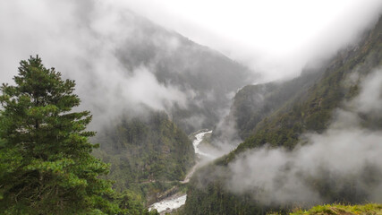 Beautiful winter landscape of forest with mist and mountains