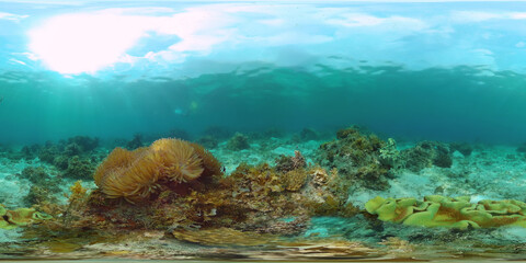 Tropical fishes and coral reef at diving. Beautiful underwater world with corals and fish. Panglao, Philippines. 360 VR foto.