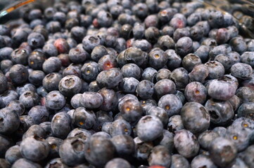 Large pile of ripe blueberries