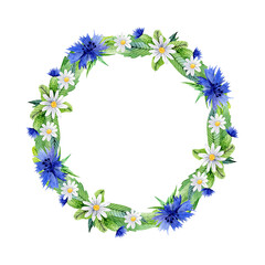 Watercolor hand-drawn floral wreath with meadow flowers and leaves. Knapweeds, chamomiles, clovers on white background. Design for wedding invitations, greeting cards and covers.
