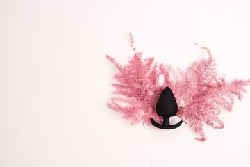 Anal plug on pink feathers isolated on a white background - obrazy, fototapety, plakaty