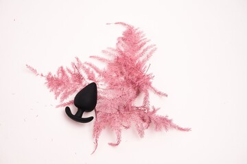 Anal plug on pink feathers isolated on a white background