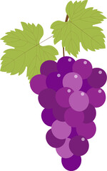 葡萄、ぶどうのイラスト