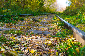 right turned abandoned railroad path in autumn forest