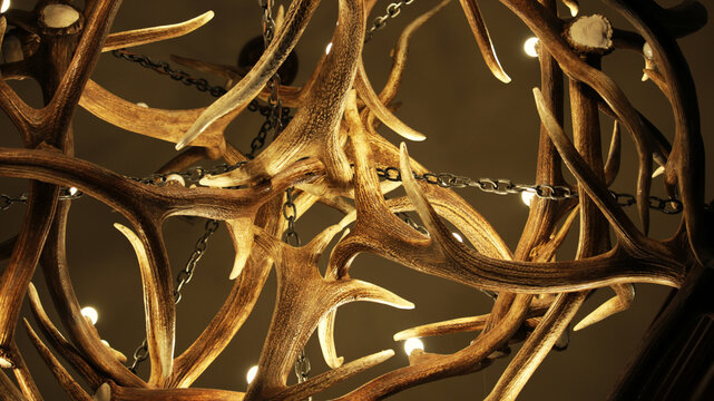 Close Up Of Antler Chandelier 