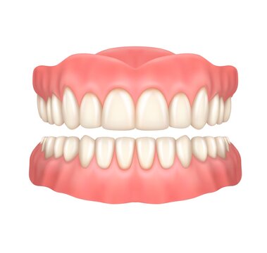 Dentures or false teeth realistic vector design of orthodontics and aesthetic dentistry medicine. Upper and lower jaws with fake teeth, 3d dental prosthesis on white background, healthcare themes