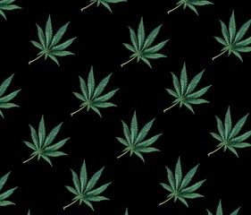 Pattern of green cannabis leaves on a black background. CBD pattern