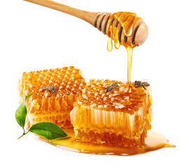 Honeycomb with bee and honey dipper isolate on white banner background, bee products by organic...