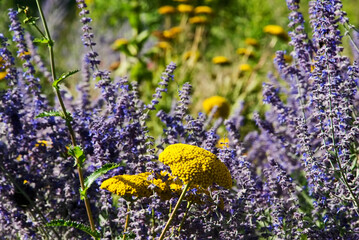 Frankfurt Botanic Garden, photographed in Frankfurt am Main, Germany. Picture made in 2009.
