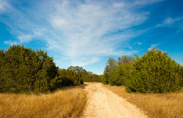 Obraz premium off road that you know where to go