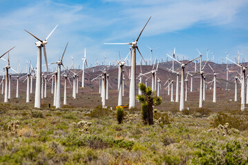 Wind farm california