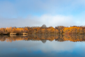 Winter Willows - reflections in a pond