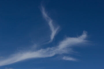 Blue sky with white clouds that form the wings of an angel. The texture of the blue sky and clouds in the form of wings. Strange cloud formation in the form of a figure. Landscape, abstraction.