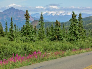 mountain road in the mountains