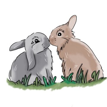 Beautiful Illustration Of Two Rabbits Kissing Each Other