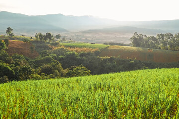 Agricultural farm on the hills of the mountains in morning landscape.