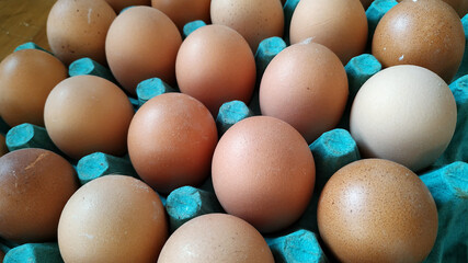 Huevos colorados de gallina  desde arriba