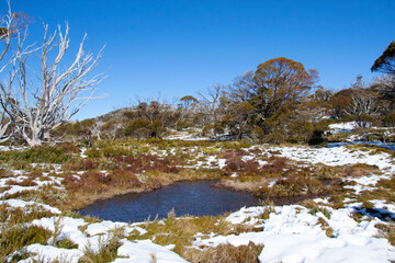 winter landscape with trees lake and mountain